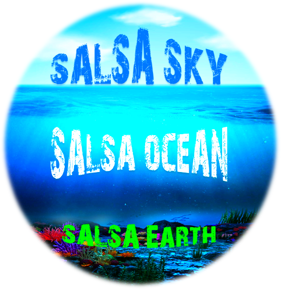 Zifsoft reaches a landmark with it’s 26th version Salsa PLANET release