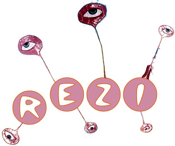 Zifsoft releases APP Aggressor REZI (version R)