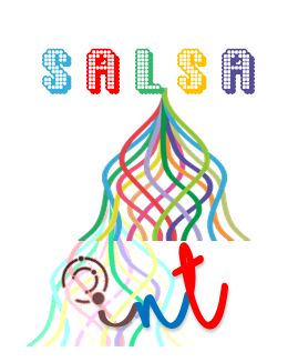 Zifsoft releases Salsa INT (ver 35)